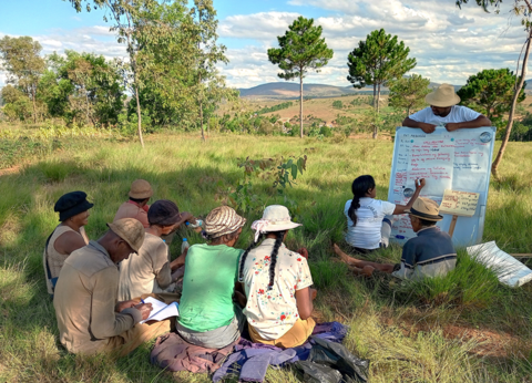 Nasandratra Ravonjiarison in the field in the Central Highlands of Madagascar