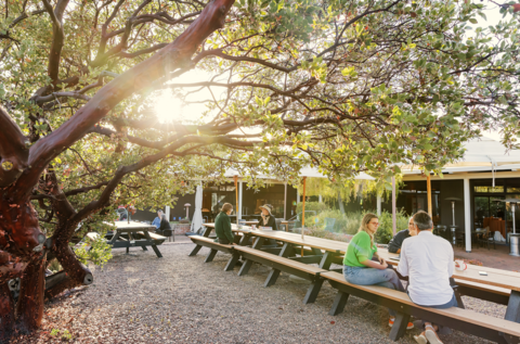 Groups of scholars collaborating on CASBS's outdoor dining patio