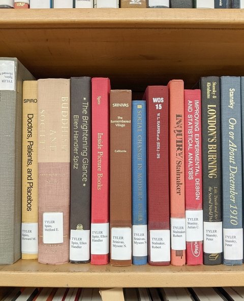 A row of books in a library, with The Remembered Village by M. N. Srinivas at center