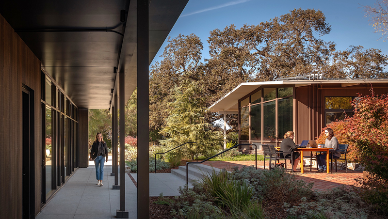 A view of the new building in relation to the main administration building