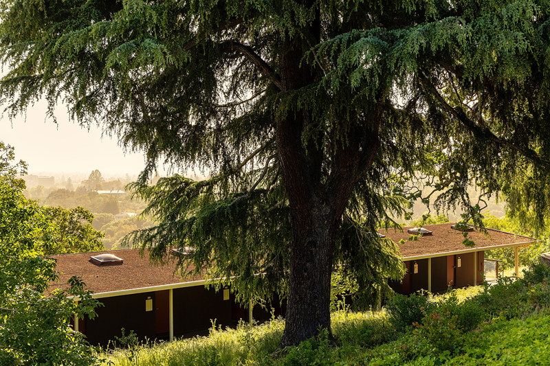 A view from the upper level toward the lower periphery of studies
