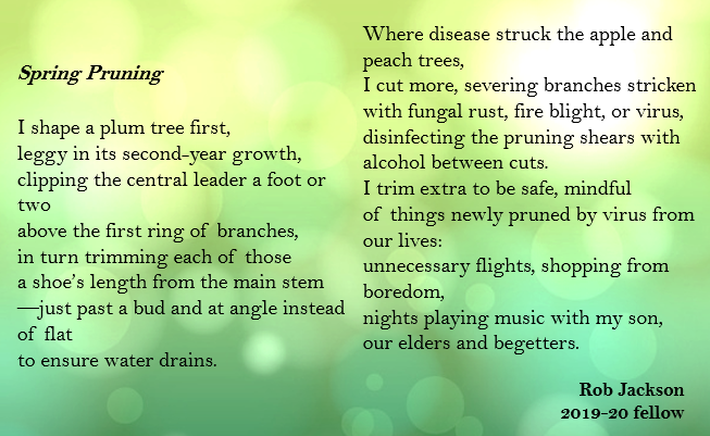 Poem - "Spring Pruning"